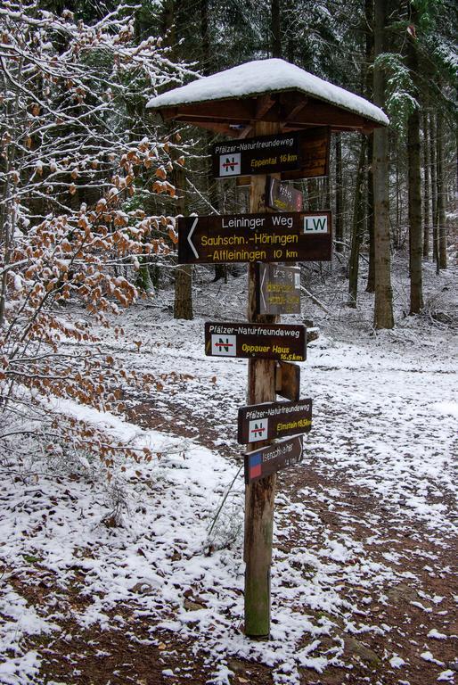 Naturfreundehaus Rahnenhof Carlsberg Luaran gambar
